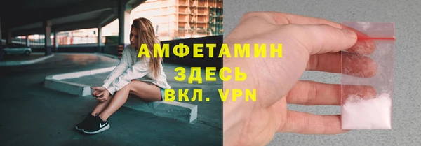 трава Сатка